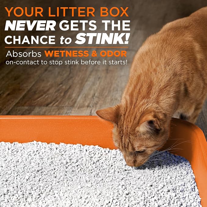 POOPH® LITTERIZER® – 16oz Bottle – Absorbs 46x Weight in Wetness & Odor – Keeps - Image 5