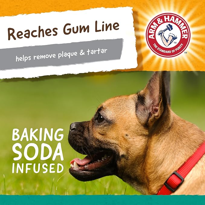 Arm & Hammer Nubbies T-Bone Dental Dog Chew Toy - Image 4