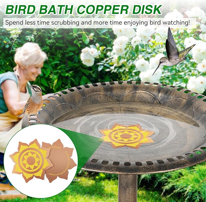 Saillong 4 Pack Bird Bath Copper Disk, Reinforced 99.99% Pure Copper Bird Bath - Image 6