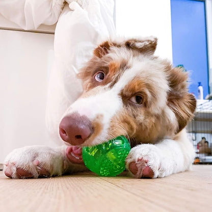 Hyper Pet DuraSqueak Dog Ball Toy, Interactive Dog Toys that Float and Squeaks - Image 6