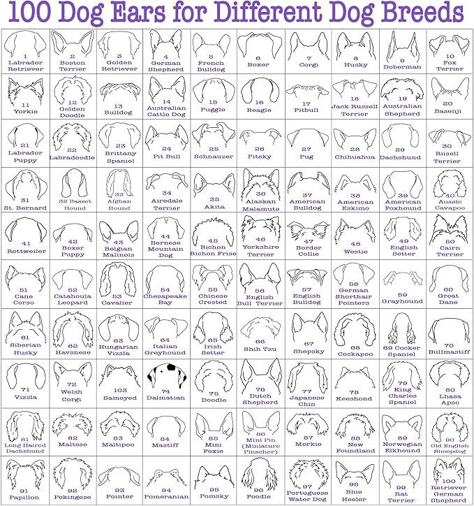 Custom Dog Mom Shirt for Women Pet Ears Sweatshirt - Image 3