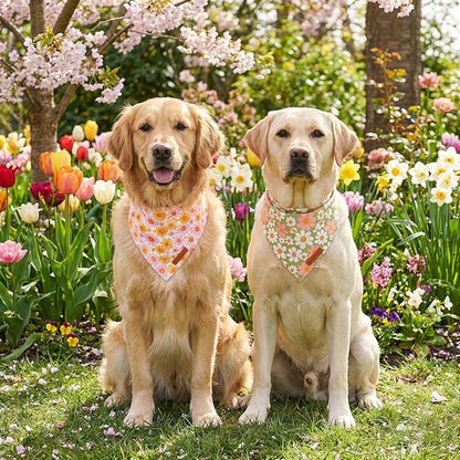 ADOGGYGO Floral Dog Bandanas 2 Pack, Daisy Flower Pet Scarf, Premium Fabric - Image 3