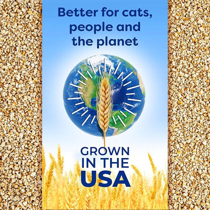 sWheat Scoop Natural Wheat Multi-Cat Litter, Superior Clumping - Image 8
