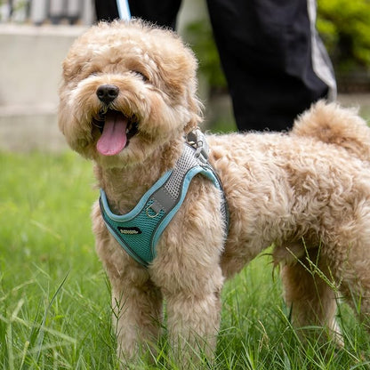 AIITLE Easy Walk Dog Harness and Leash Set - Image 4