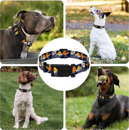 Dog Collar with Butterflies Print, Daisy Boys Girls Puppy Collar - Image 6