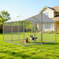 10'x10' Large Outdoor Dog Kennel Outside by Unknown