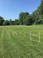 Dog Agility Training Equipment Course Set, Weave Poles, Dog Agility Jump by The+Dog+Agility+Shop%C2%AE