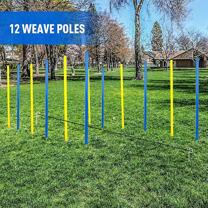 Pet Prime Dog Agility Training Equipment - Image 5