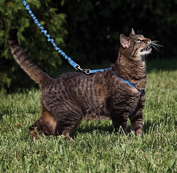 PetSafe Come With Me Kitty Cat Harness & Bungee Leash - Image 2