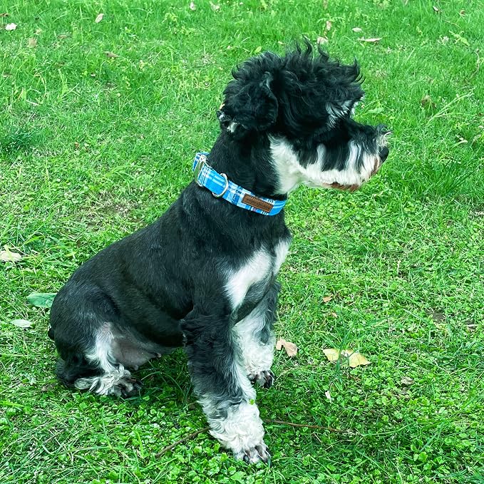 Unique style paws Dog Collar Metal Buckle Blue Plaid Collar Gift Durable Cute - Image 4