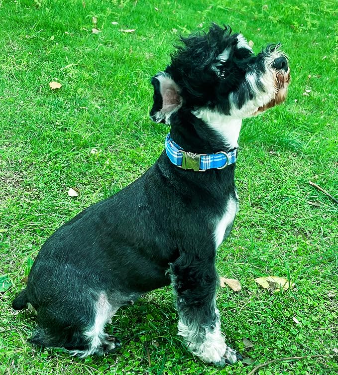 Unique Style Paws Metal Buckle Blue Plaid Collar - Image 3